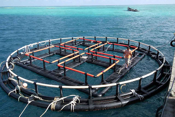 深海奇跡、水下牧場：探索深海養(yǎng)魚網(wǎng)箱在水產(chǎn)養(yǎng)殖中的新可能